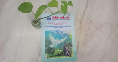 Giới thiệu Tạp chí Chiêu Anh Các số 8 (8 – 2026) Giới thiệu Tạp chí Chiêu Anh Các số 8 (8 – 2026)